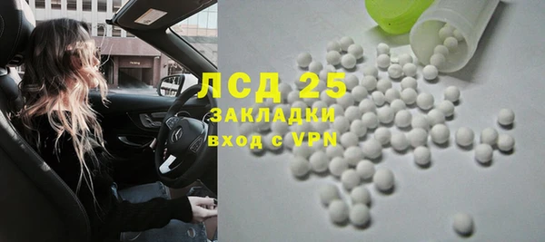 сатива Волоколамск