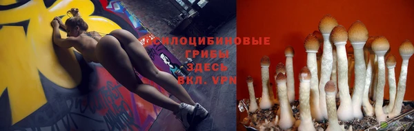 винт Володарск