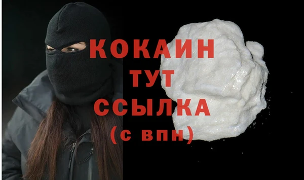 сатива Волоколамск
