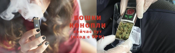 ГАЛЛЮЦИНОГЕННЫЕ ГРИБЫ Волосово