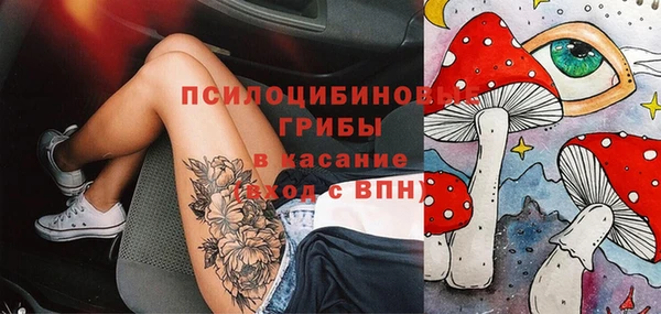 сатива Волоколамск