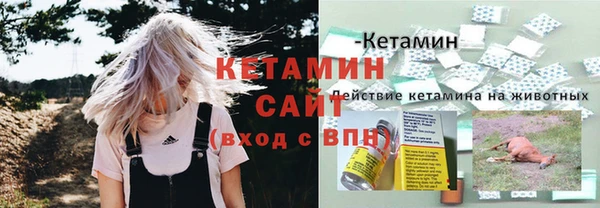 сатива Волоколамск