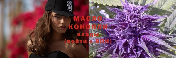 сатива Волоколамск