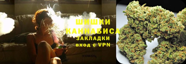 сатива Волоколамск